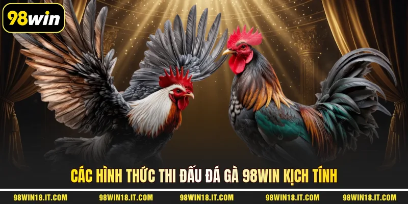 cac-hinh-thuc-thi-dau-da-ga-98win-kich-tinh
