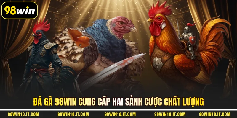 da-ga-98win-cung-cap-hai-sanh-cuoc-chat-luong
