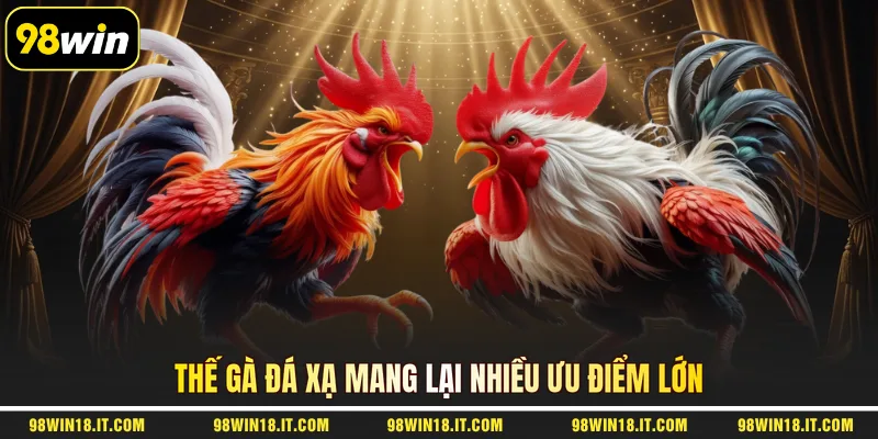 the-ga-da-xa-mang-lai-nhieu-uu-diem-lon