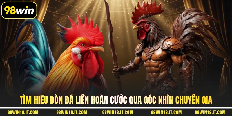tim-hieu-don-da-lien-hoan-cuoc-qua-goc-nhin-chuyen-gia